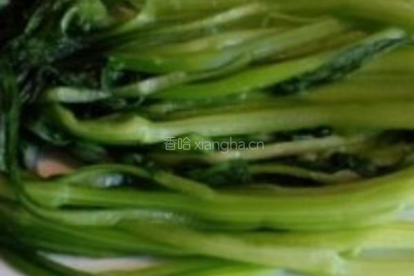 耗油菜心的做法图解5