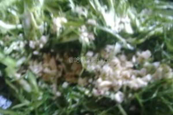 清炒苦菊的做法图解4