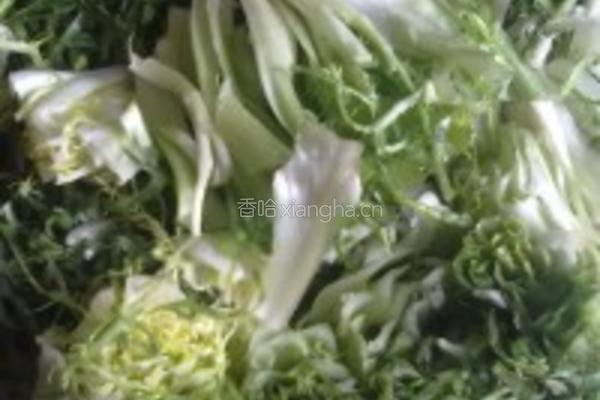 清炒苦菊的做法图解1