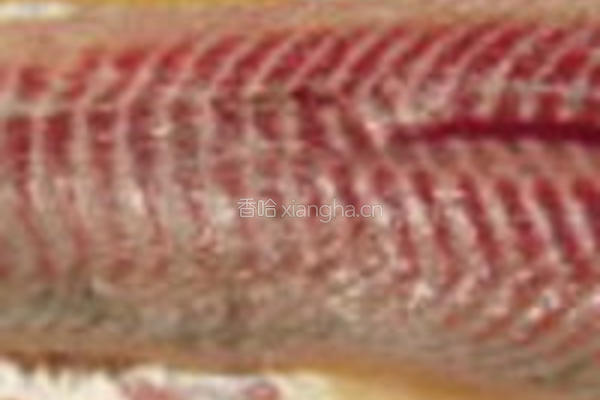 椒盐煎草鱼的做法图解1