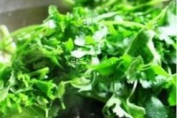 芫爆牛百叶的做法图解7