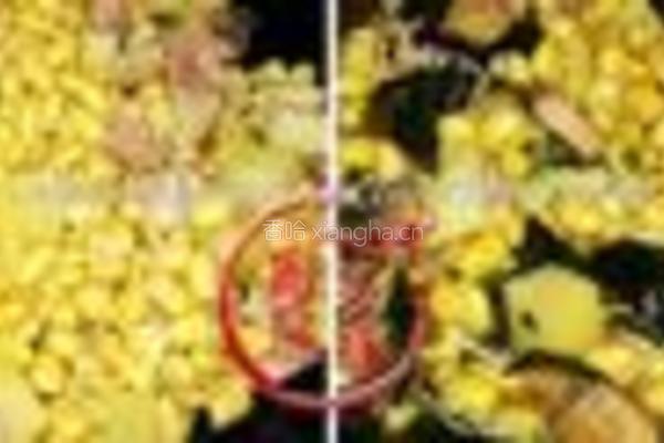黄豆芽炖海带的做法图解2