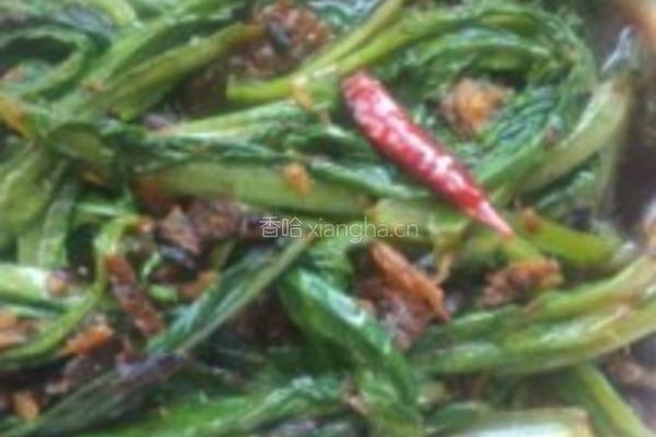 豆鼓鲮鱼油麦菜的做法图解2