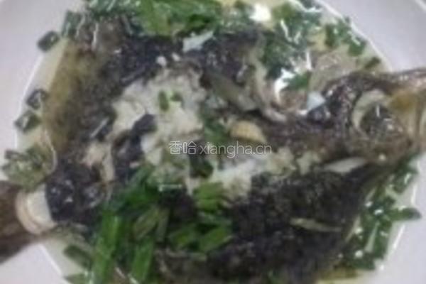 葱油多宝鱼的做法图解4