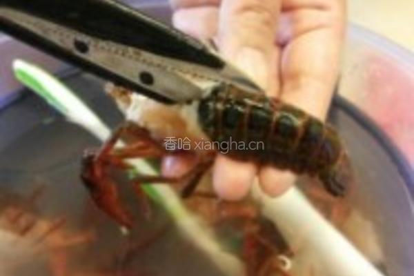 香辣口味虾的做法图解2