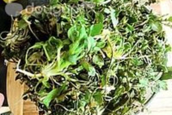 荠菜猪肉锅贴的做法图解1