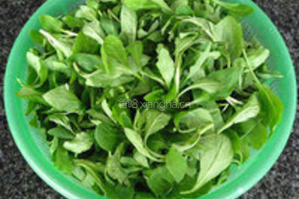 荠菜鲜肉汤团的做法图解1