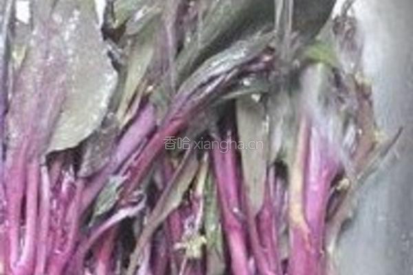 鲜嫩红菜苔的做法图解1