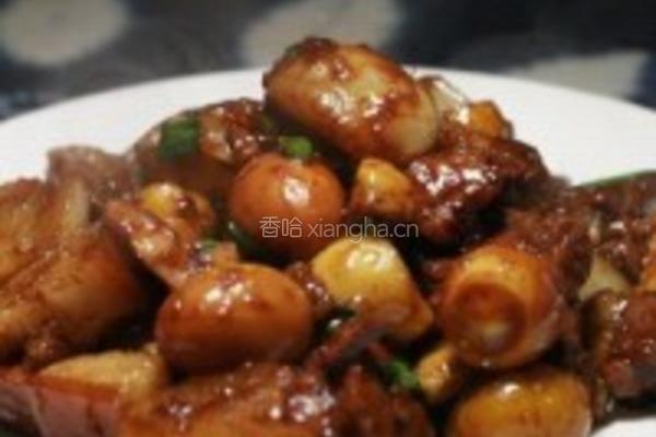 秘制萝卜烧肉的做法图解3