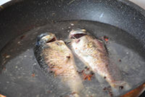 鲫鱼豆腐汤的做法图解4