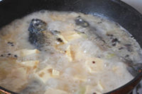 鲫鱼豆腐汤的做法图解6