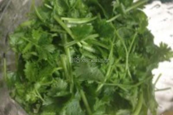 麻辣香菜拌鸭肝的做法图解3