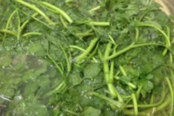 西洋菜鸡汤的做法图解3