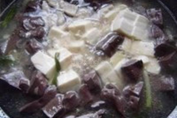 肉丝豆腐猪血汤的做法图解10