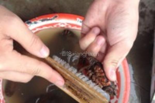 原汁原味白煮鲜活小龙虾的做法图解2