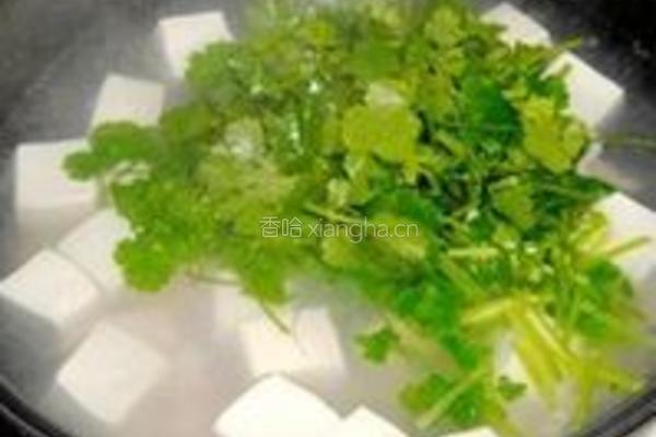 香菜叶肉片豆腐汤的做法图解3