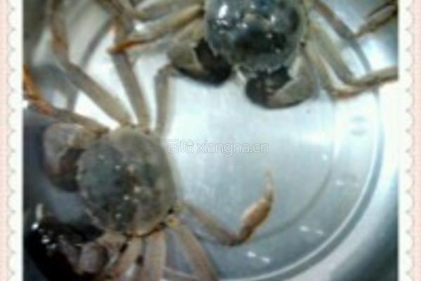 海鲜聚宝盆的做法图解1