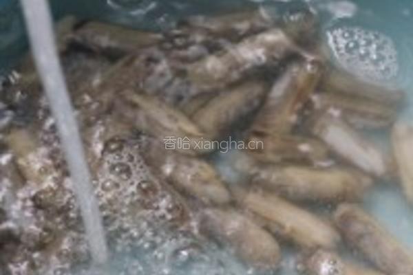 盐焗蛏子的做法图解2