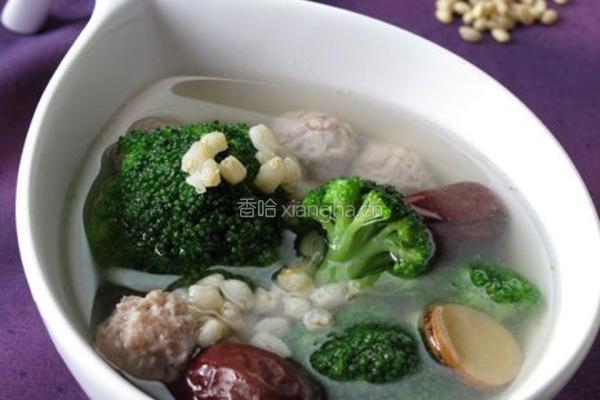 甘麦大枣肉丸汤