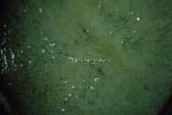 麦芽冬栆的做法图解5
