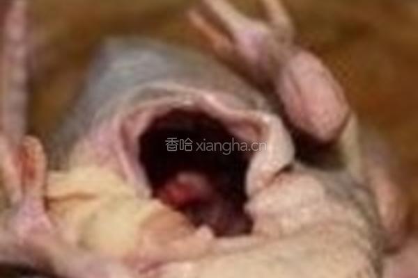 首乌防党黑糯米煲乳鸽的做法图解2