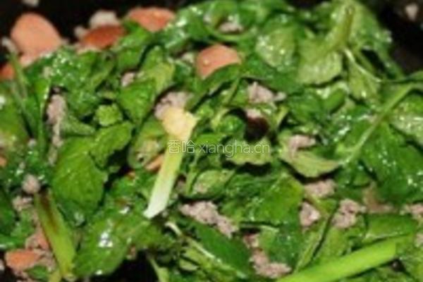 滇味薄荷炒牛肉的做法图解4