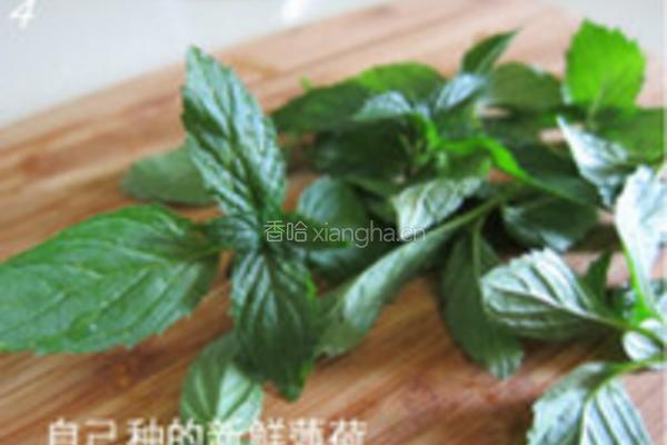 烤羊排配蜂蜜芝士蘸酱的做法图解4