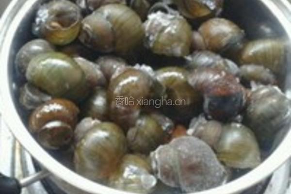 酸笋田螺煲的做法图解17