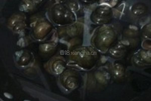 酸笋田螺煲的做法图解5