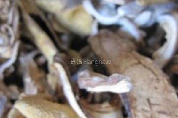 鲟鱼八珍锅的做法图解2