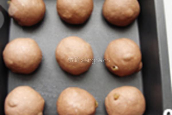 可可提子排包的做法图解4