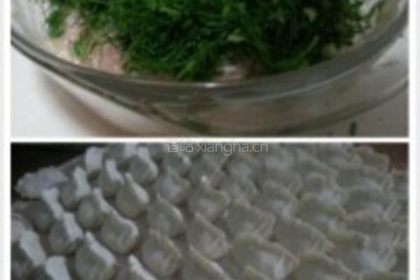 茴香龙利鱼饺子的做法图解3