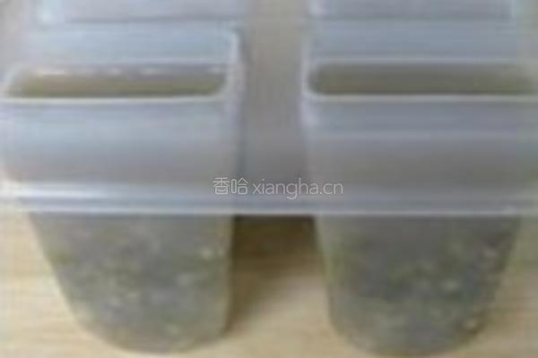 绿豆薄荷棒冰的做法图解5