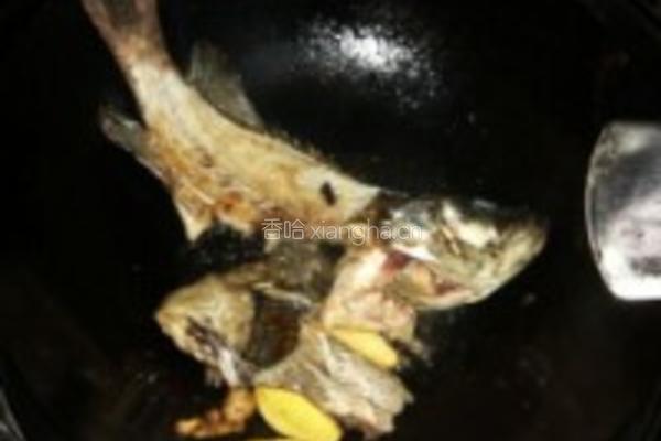 水煮活青石斑鱼的做法图解4