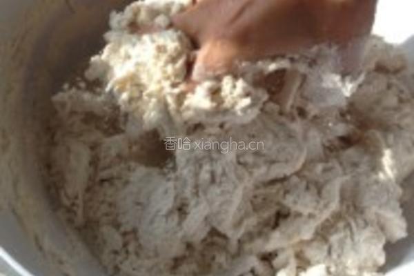 茴香肉末饺子的做法图解1