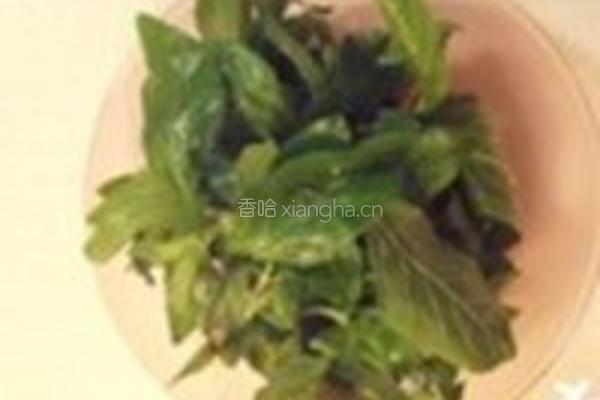 薄荷沙沙的做法图解1