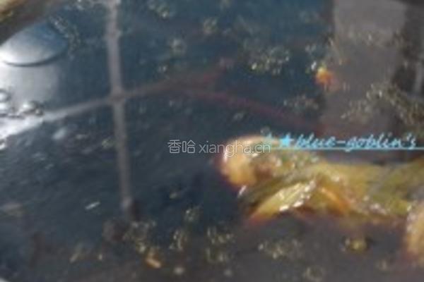 柠檬玫瑰豉油鸡的做法图解3