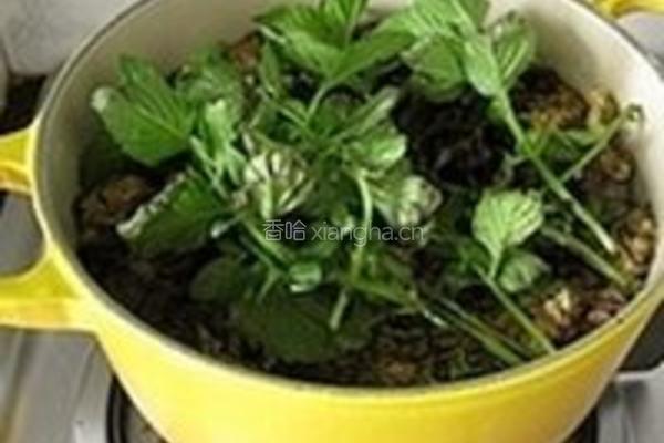 自制凉茶的做法图解4