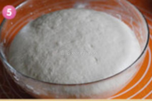 茴香大包的做法图解5