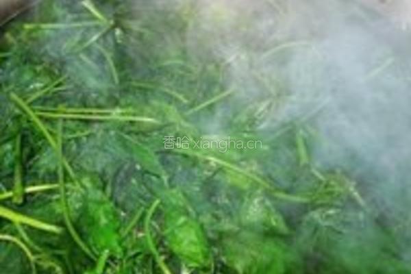 凉拌刺五加的做法图解1