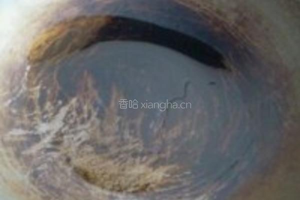 芹菜炒鱿鱼的做法图解6