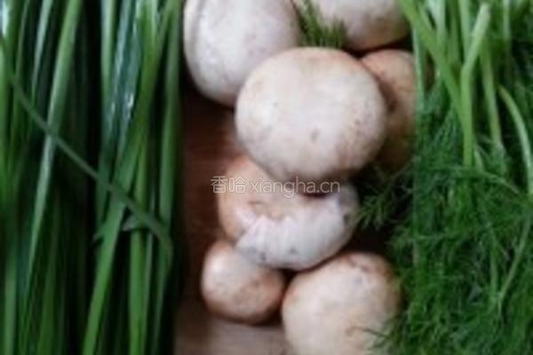 茴香蘑菇水煎包的做法图解1