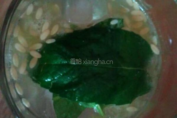 清凉薄荷饮