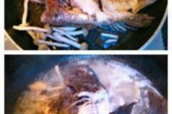 罗非鱼两吃的做法图解3