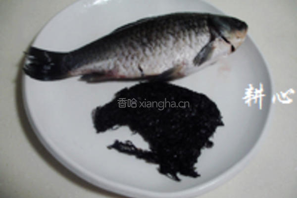 紫菜鲫鱼汤的做法图解1