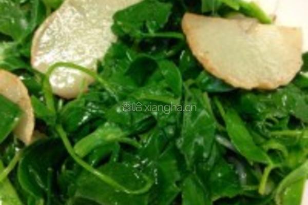蒜香苜蓿的做法图解2