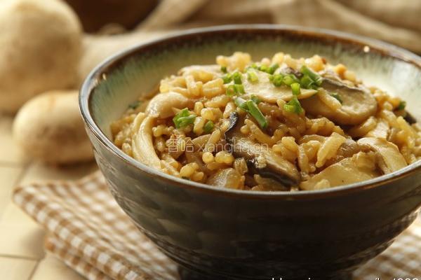 菌菇焖饭
