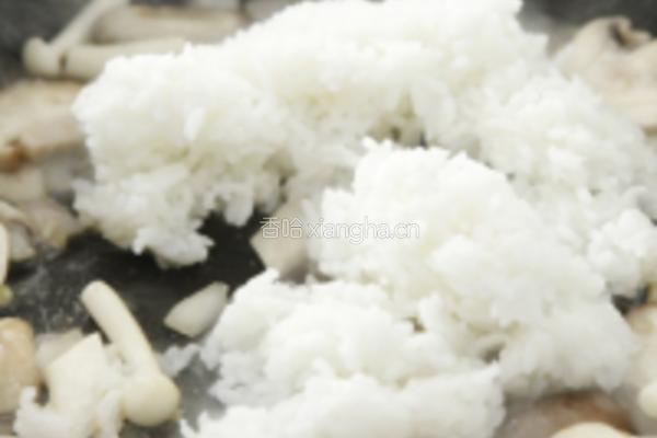 菌菇焖饭的做法图解4