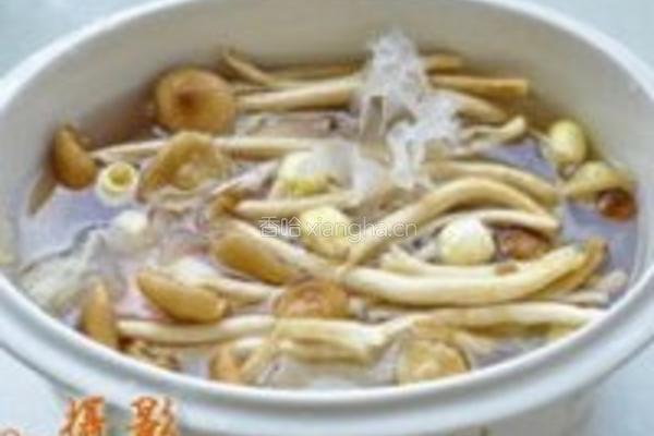 白莲茶树菇乳鸽汤的做法图解4