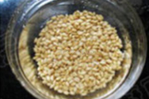 玉米小麦豆浆的做法图解4